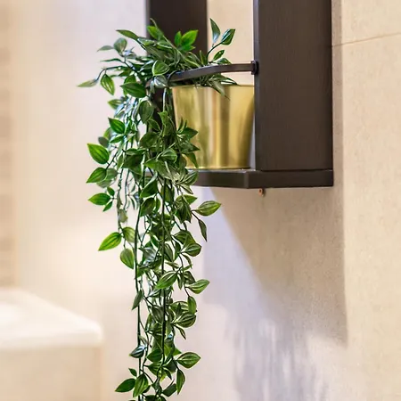 Koa - Sunlight Appartamento *