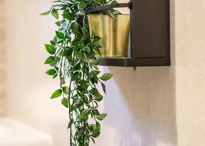 Koa - Sunlight Apartment *